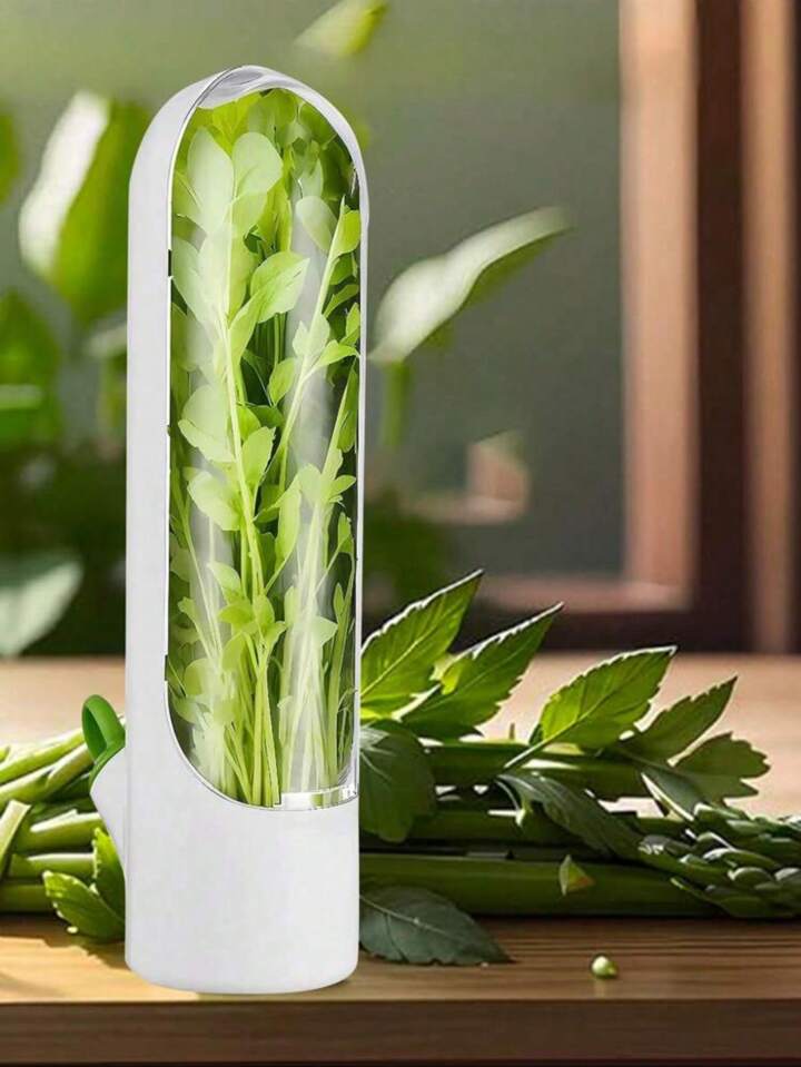 Miniatura 4 de Recipiente Conservador de Hiervas y Espe